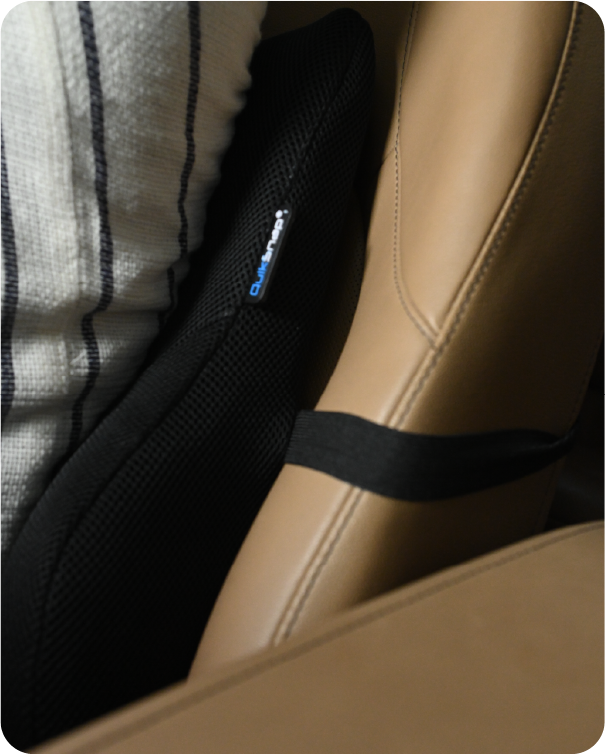 Lumbar / Back Support