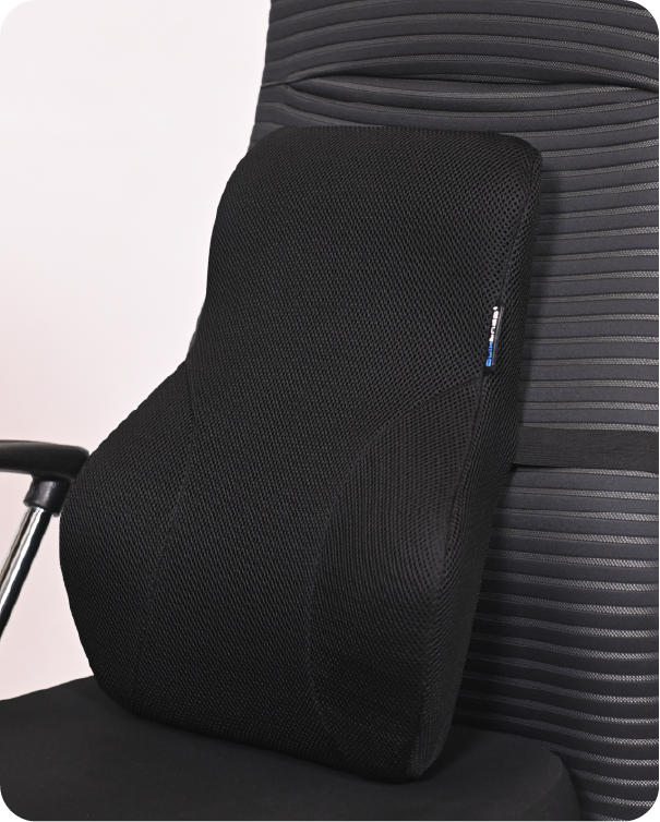 Lumbar / Back Support