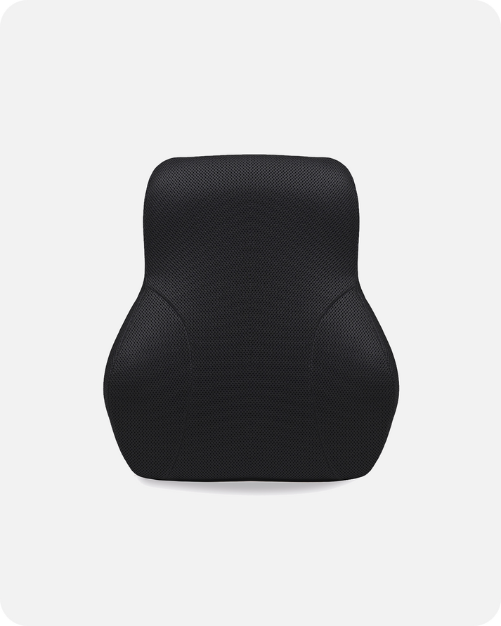 Comfort Backrest Lumbar Support Cushion – PremiumExo